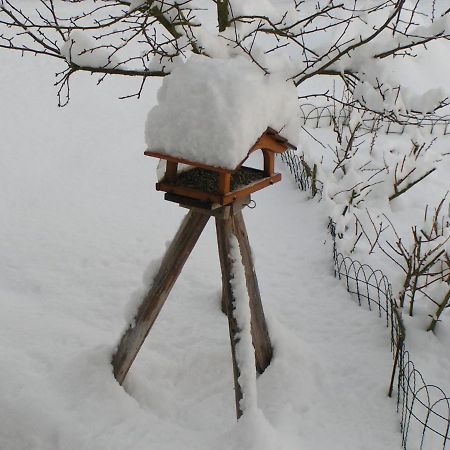 Fewo Talula - Sauerland Mit Hund เมเดบาค ภายนอก รูปภาพ