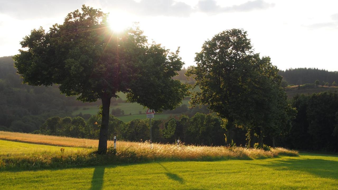 Fewo Talula - Sauerland Mit Hund เมเดบาค ภายนอก รูปภาพ