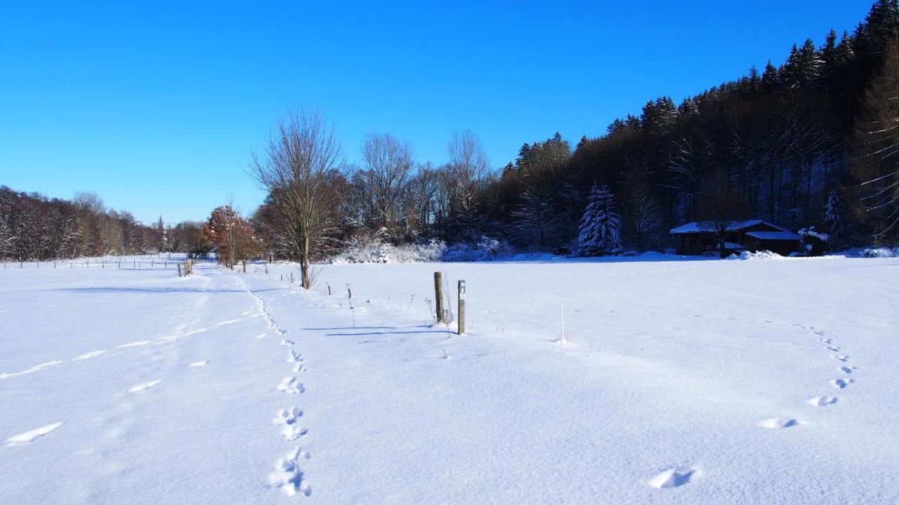 Fewo Talula - Sauerland Mit Hund เมเดบาค ภายนอก รูปภาพ