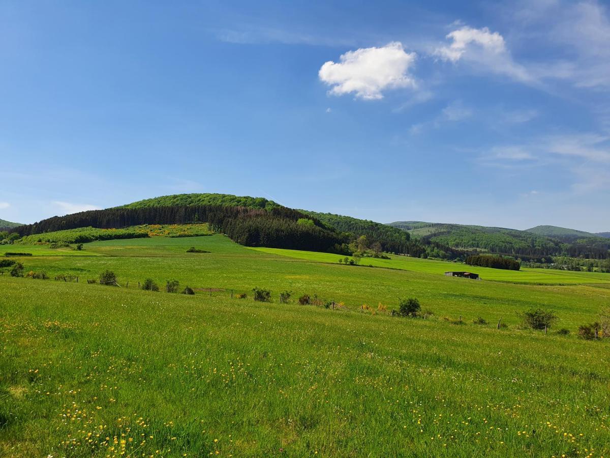 Fewo Talula - Sauerland Mit Hund เมเดบาค ภายนอก รูปภาพ