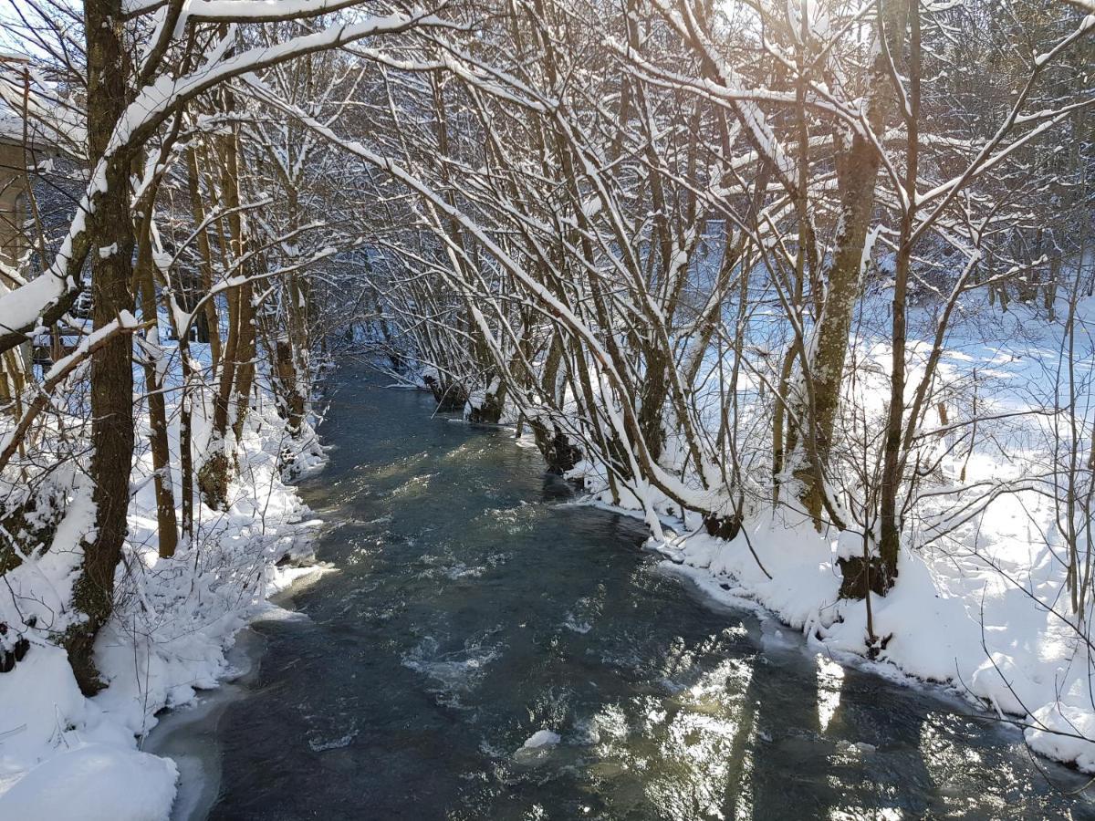 Fewo Talula - Sauerland Mit Hund เมเดบาค ภายนอก รูปภาพ