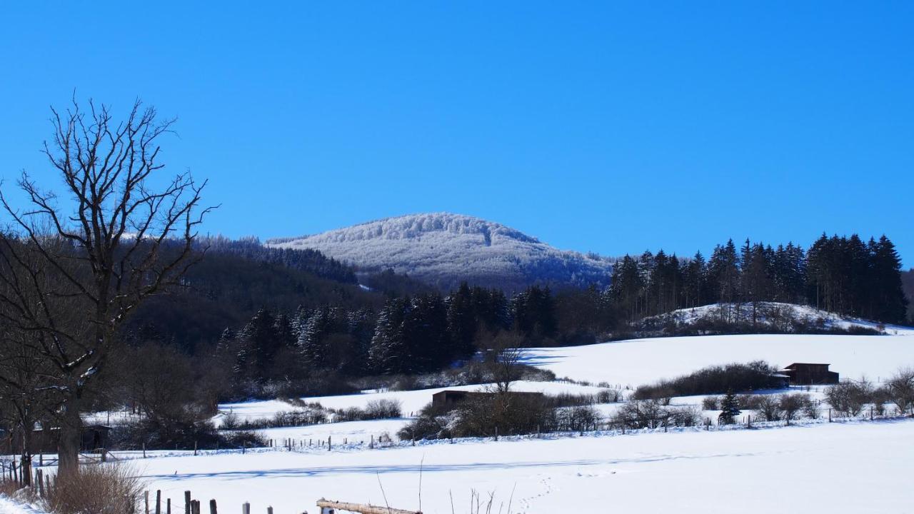 Fewo Talula - Sauerland Mit Hund เมเดบาค ภายนอก รูปภาพ