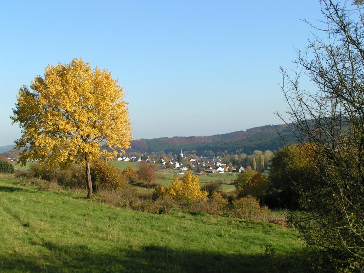 Fewo Talula - Sauerland Mit Hund เมเดบาค ภายนอก รูปภาพ